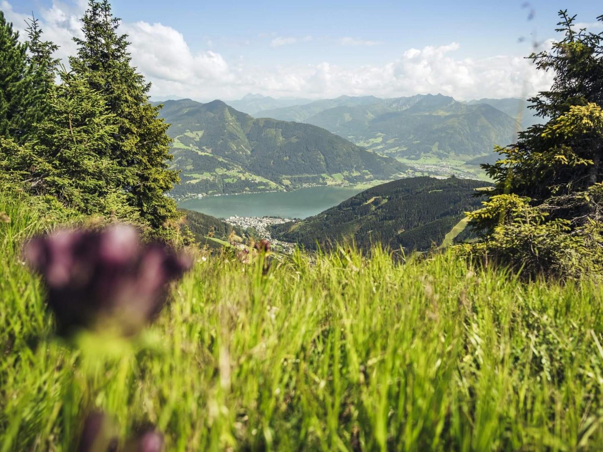 Gaestehaus Bleiweis-Zehentner Zell am See Eksteriør bilde